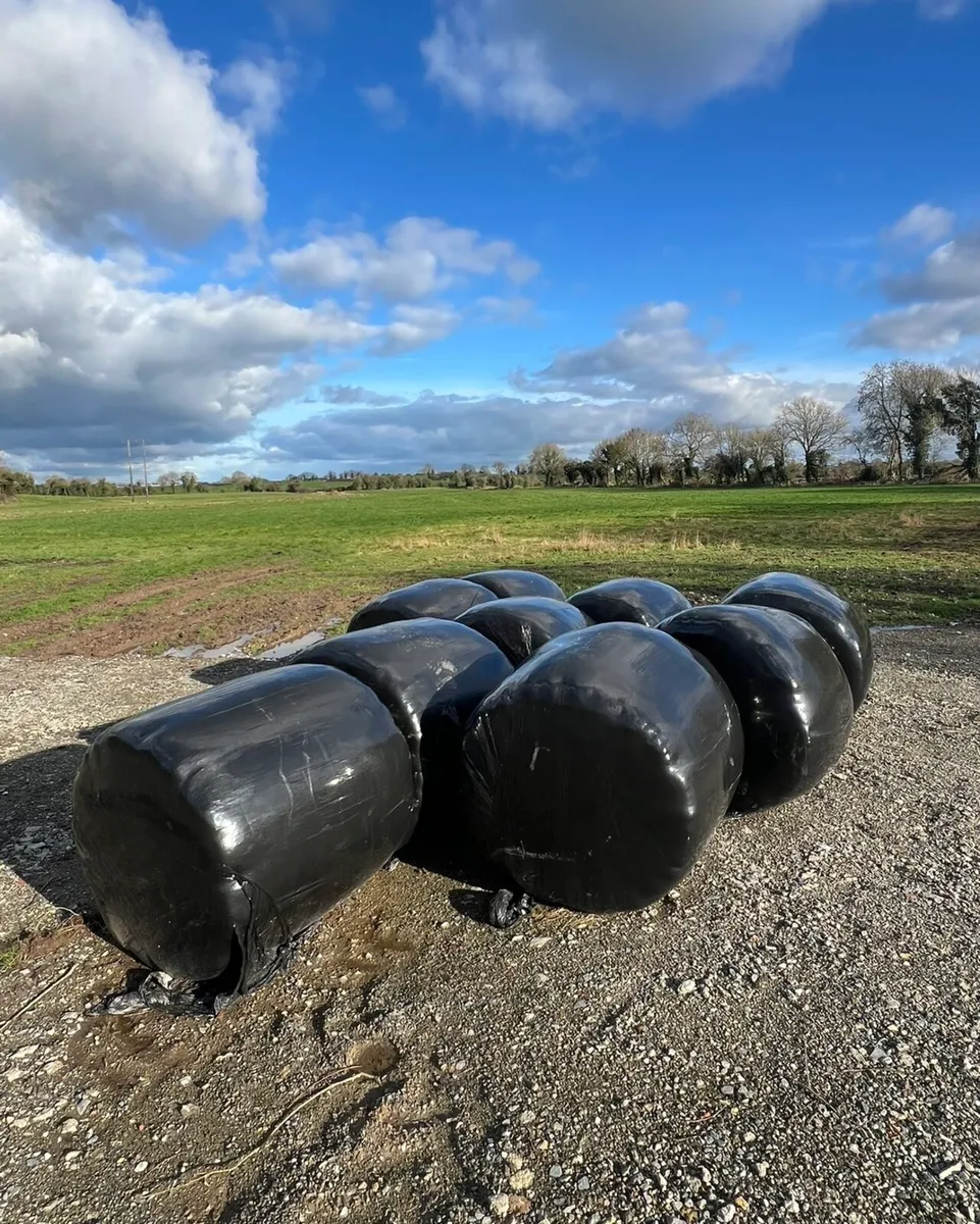 Silage for sale - €15 - Image 2