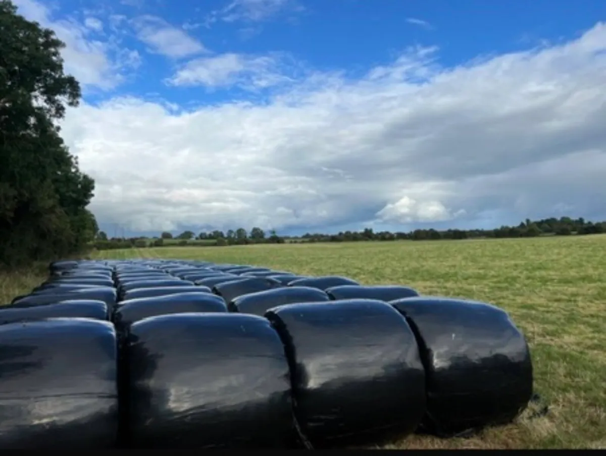 Silage for sale - €15 - Image 3