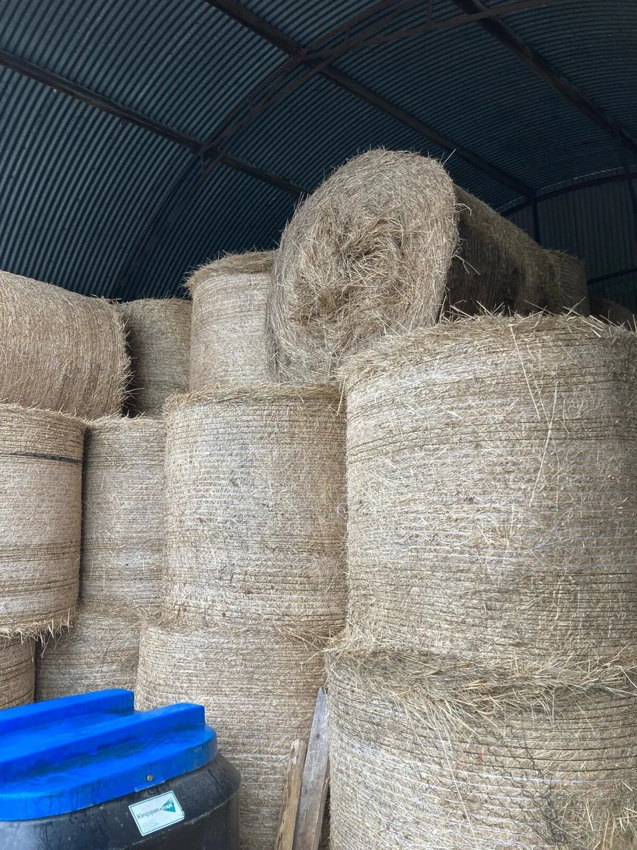Hay for sale
