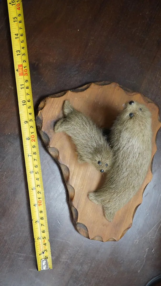 Vintage Faux Seal Pair Figure on Wooden Base - Image 4