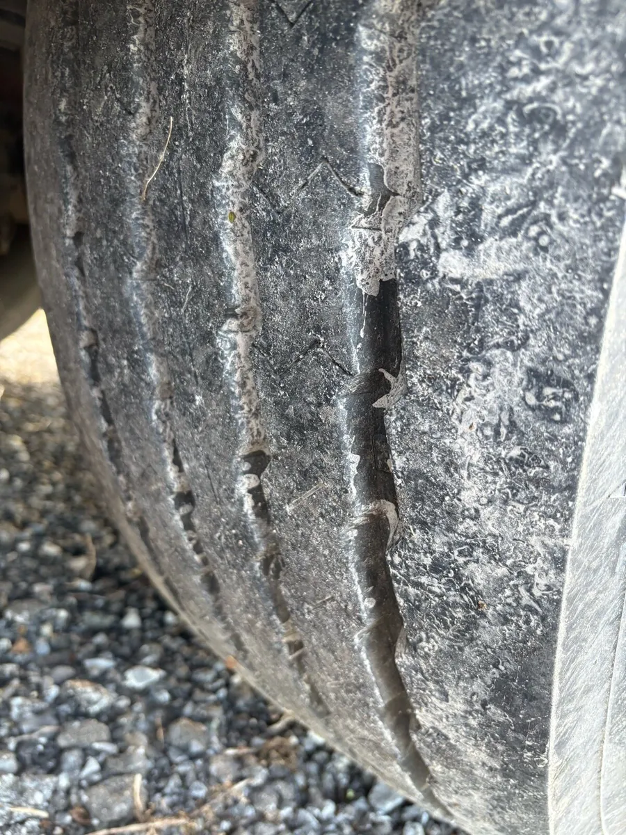 TIGER  Curtainsider - Image 4