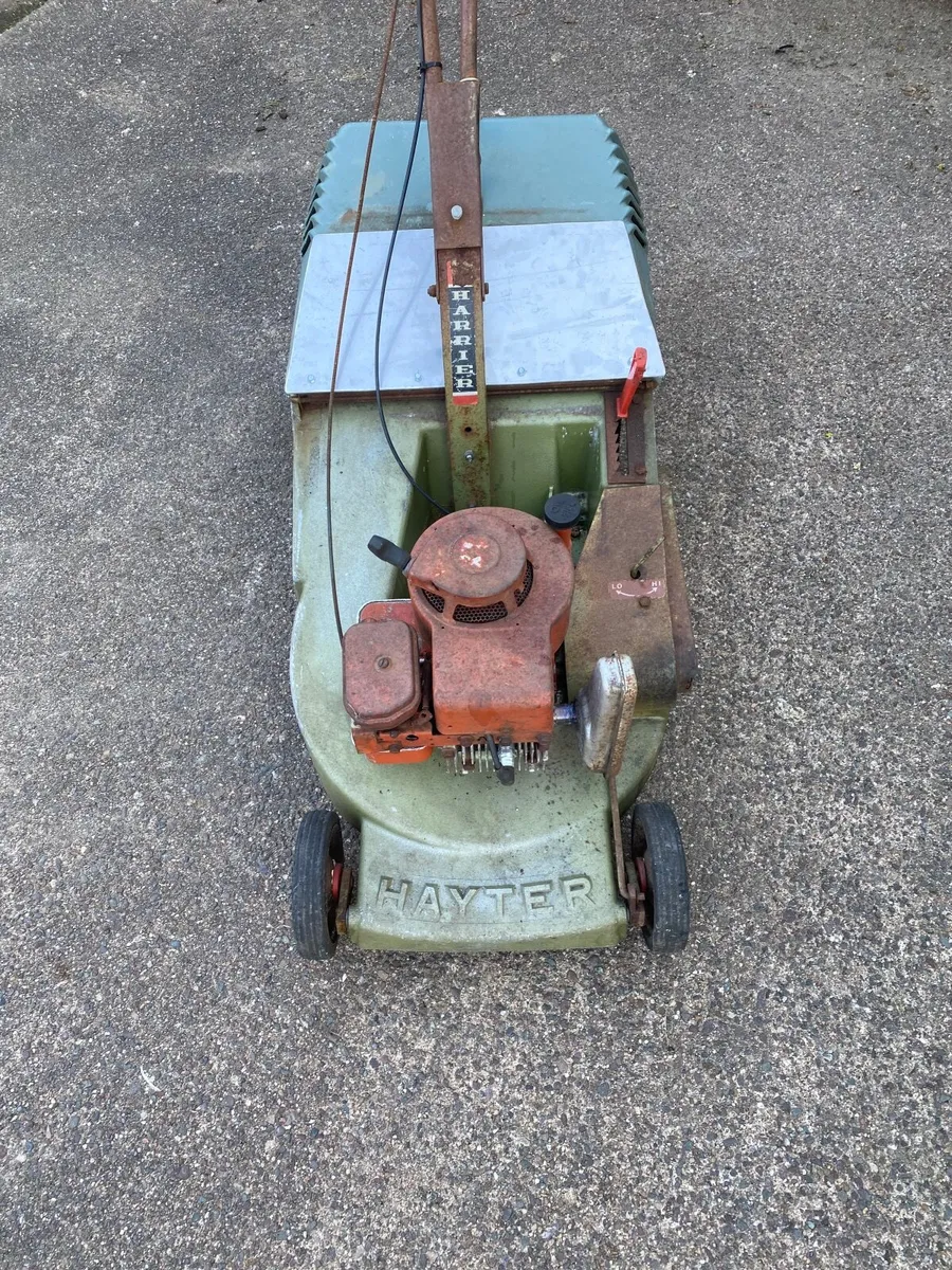 Lawnmower self propelled - Image 4