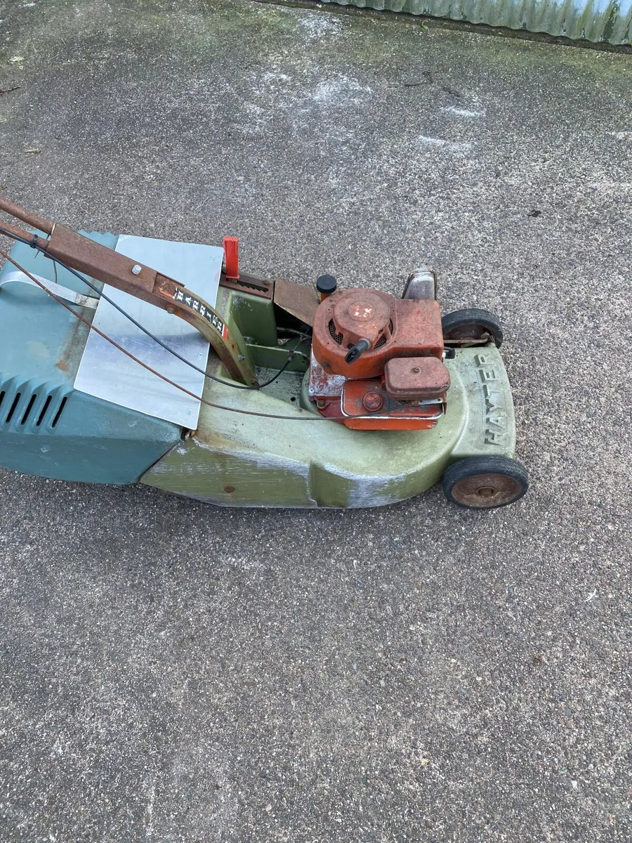 Lawnmower self propelled - Image 1