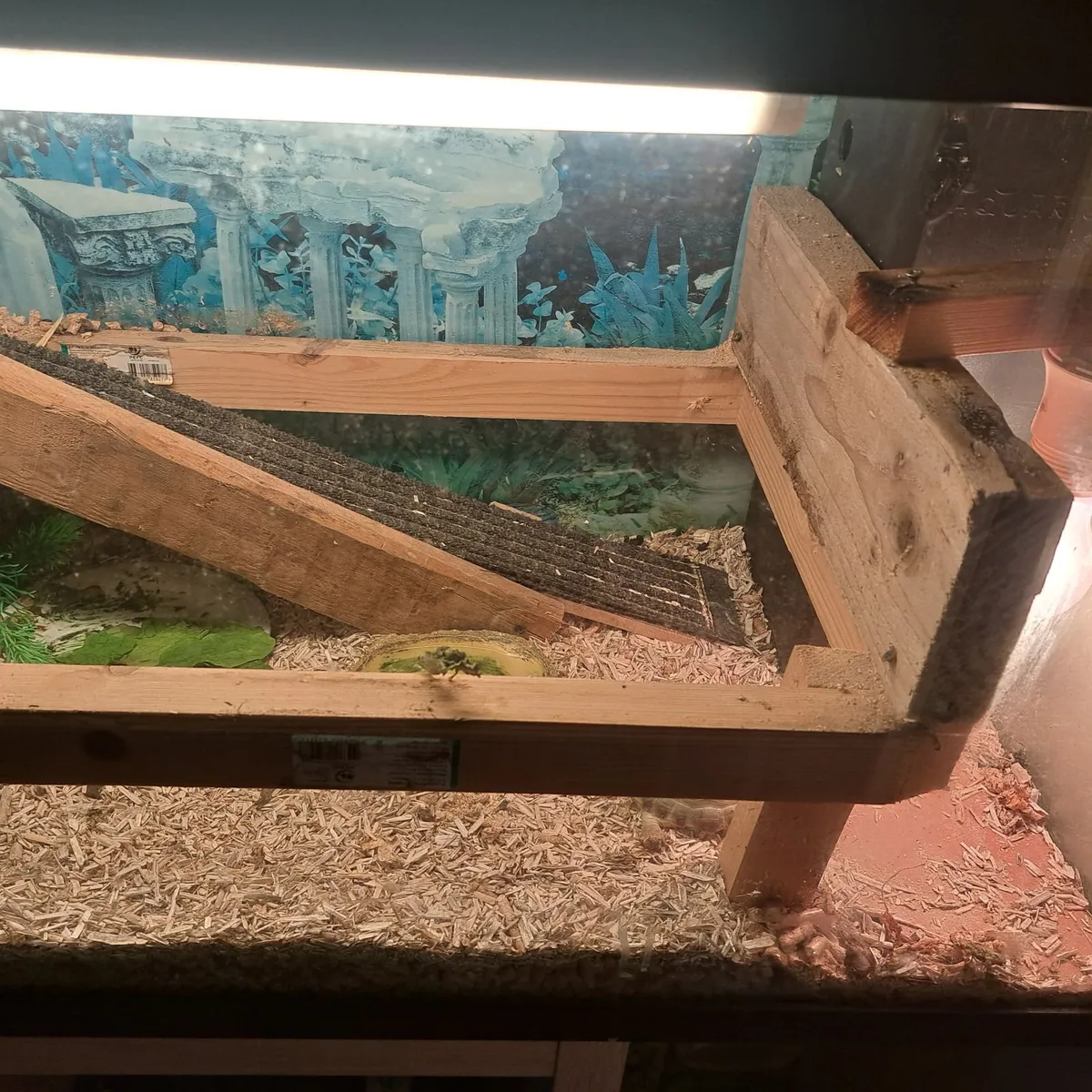 Tank - Image 4