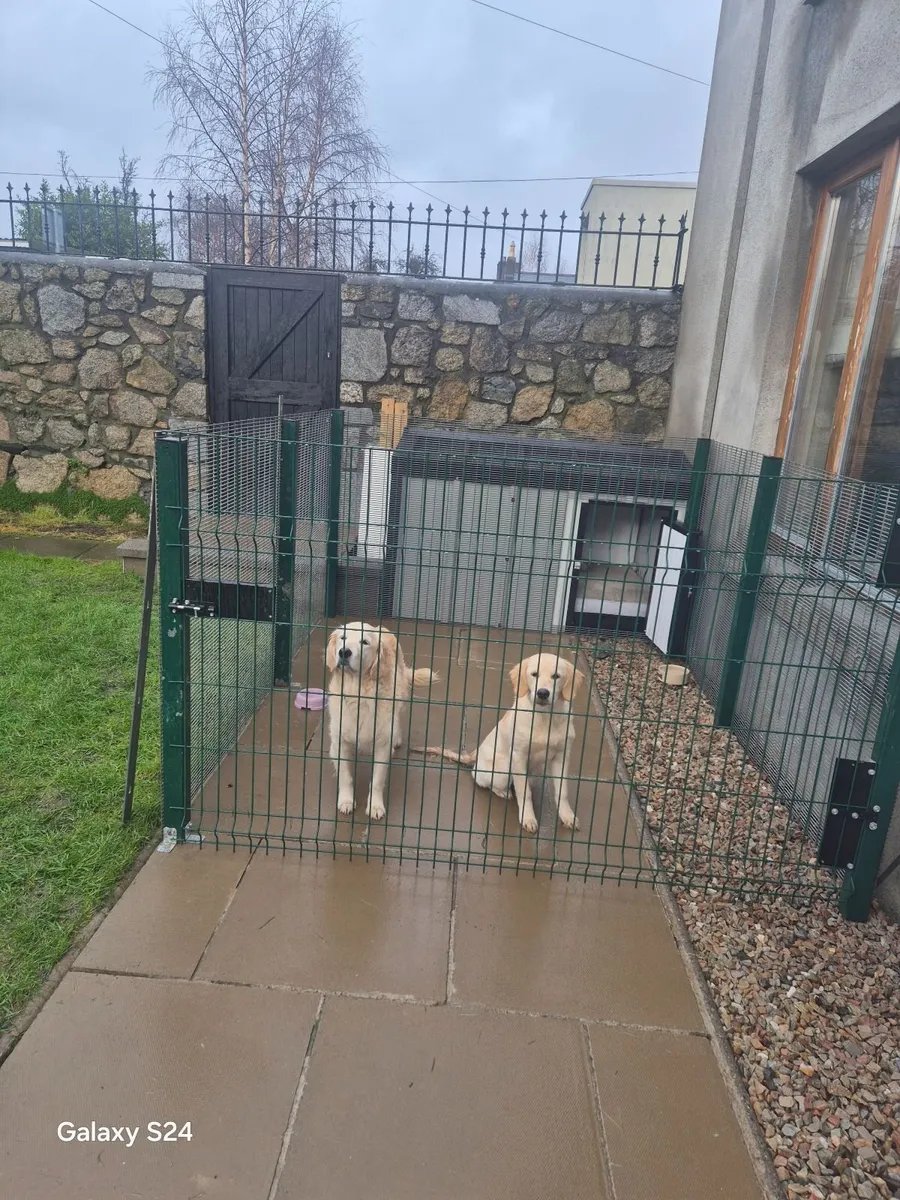 Dog house and Pen - Image 4