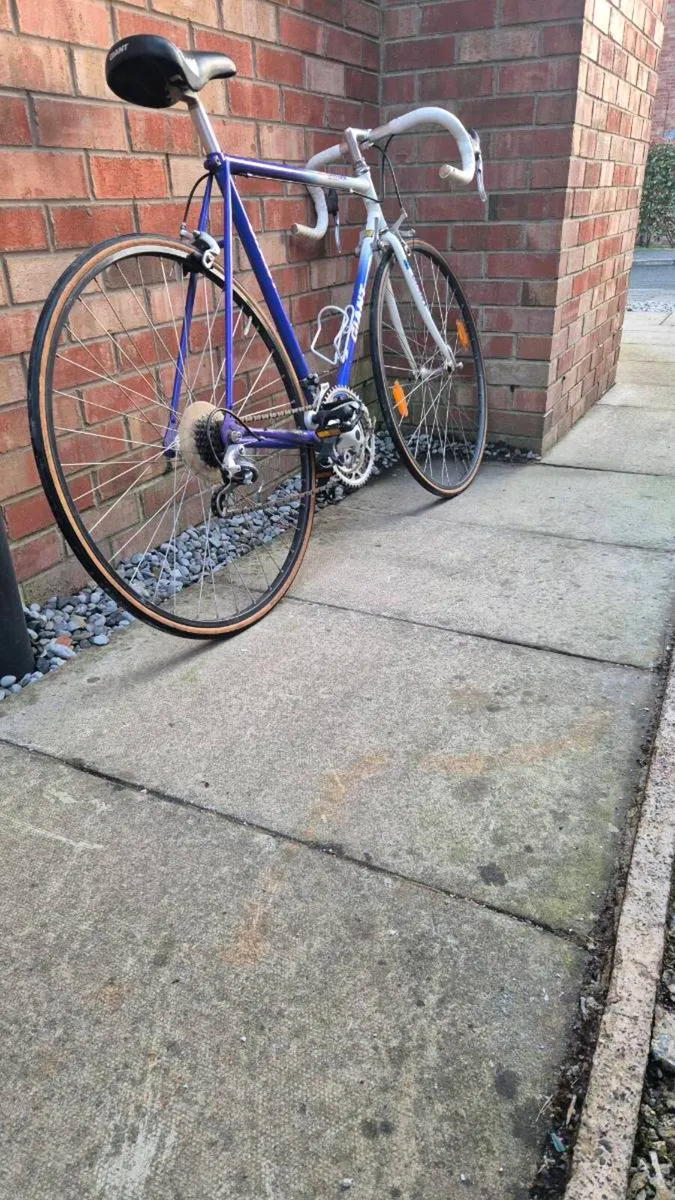1980 classic road bike giant - Image 1
