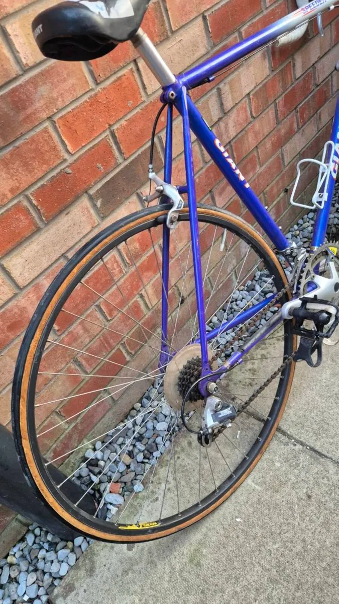 1980 classic road bike giant - Image 2