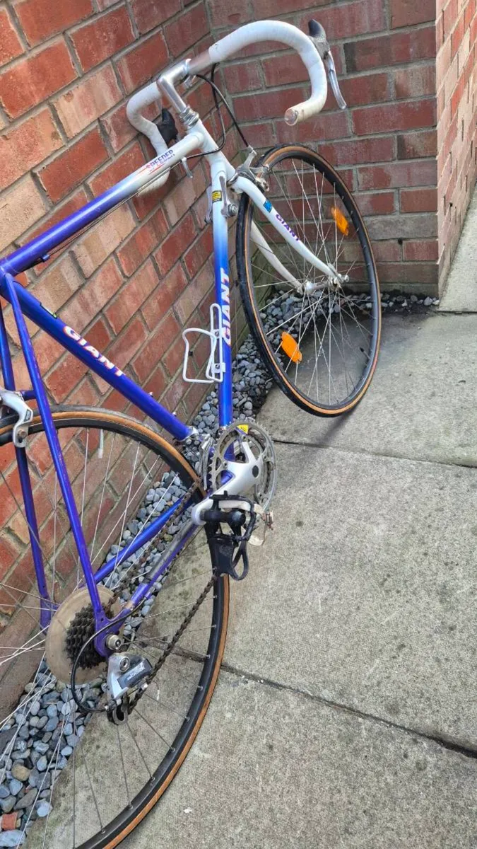 1980 classic road bike giant - Image 3