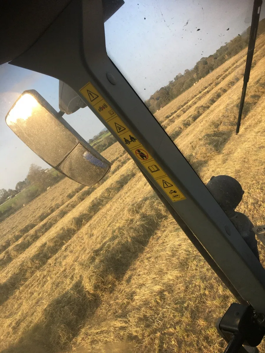 Silage Straw  Hay - Image 3