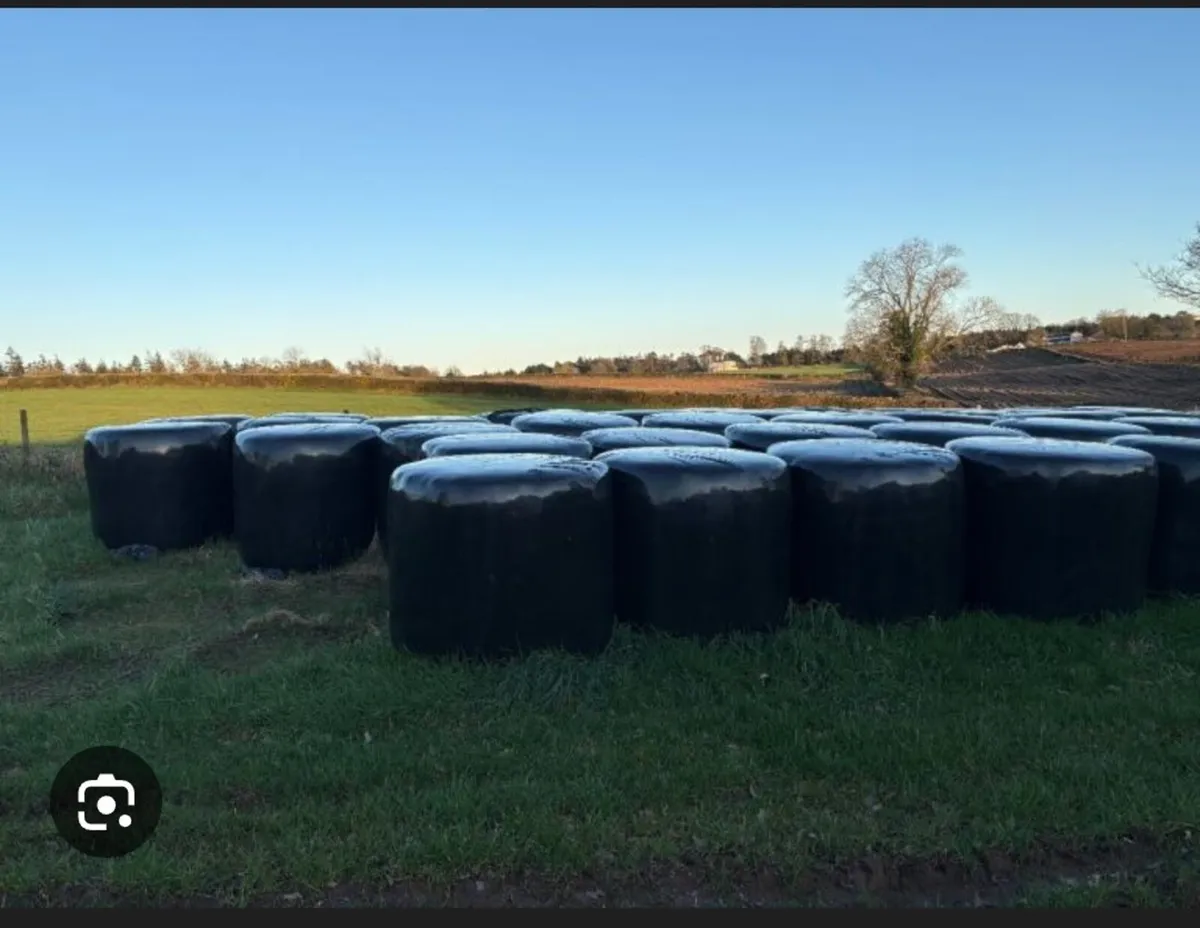 Round bales