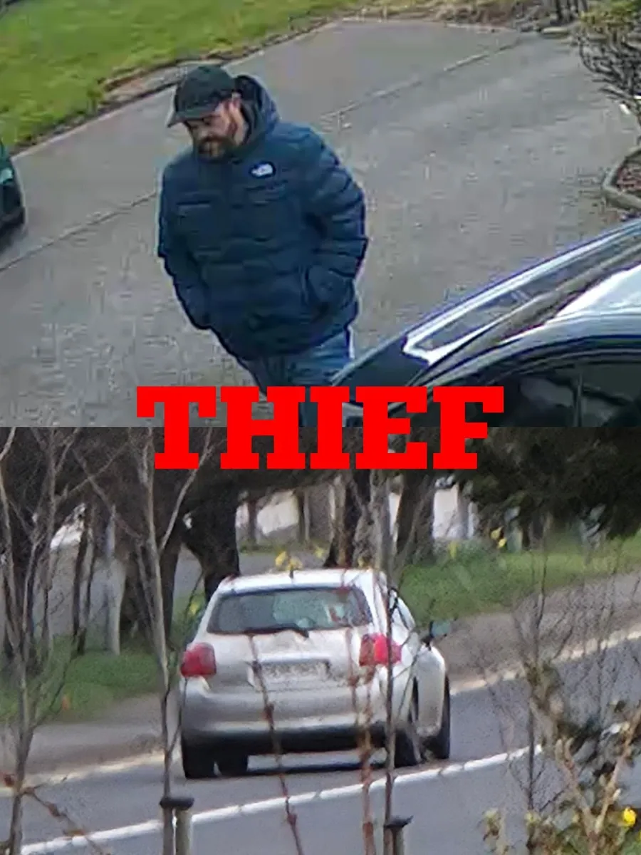 Canon 100 400 - Image 1