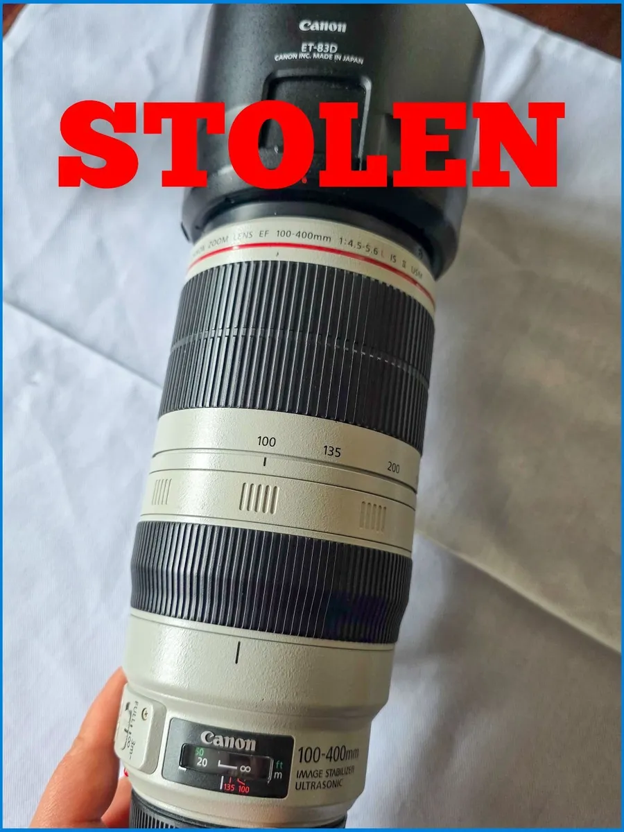 Canon 100 400 - Image 2