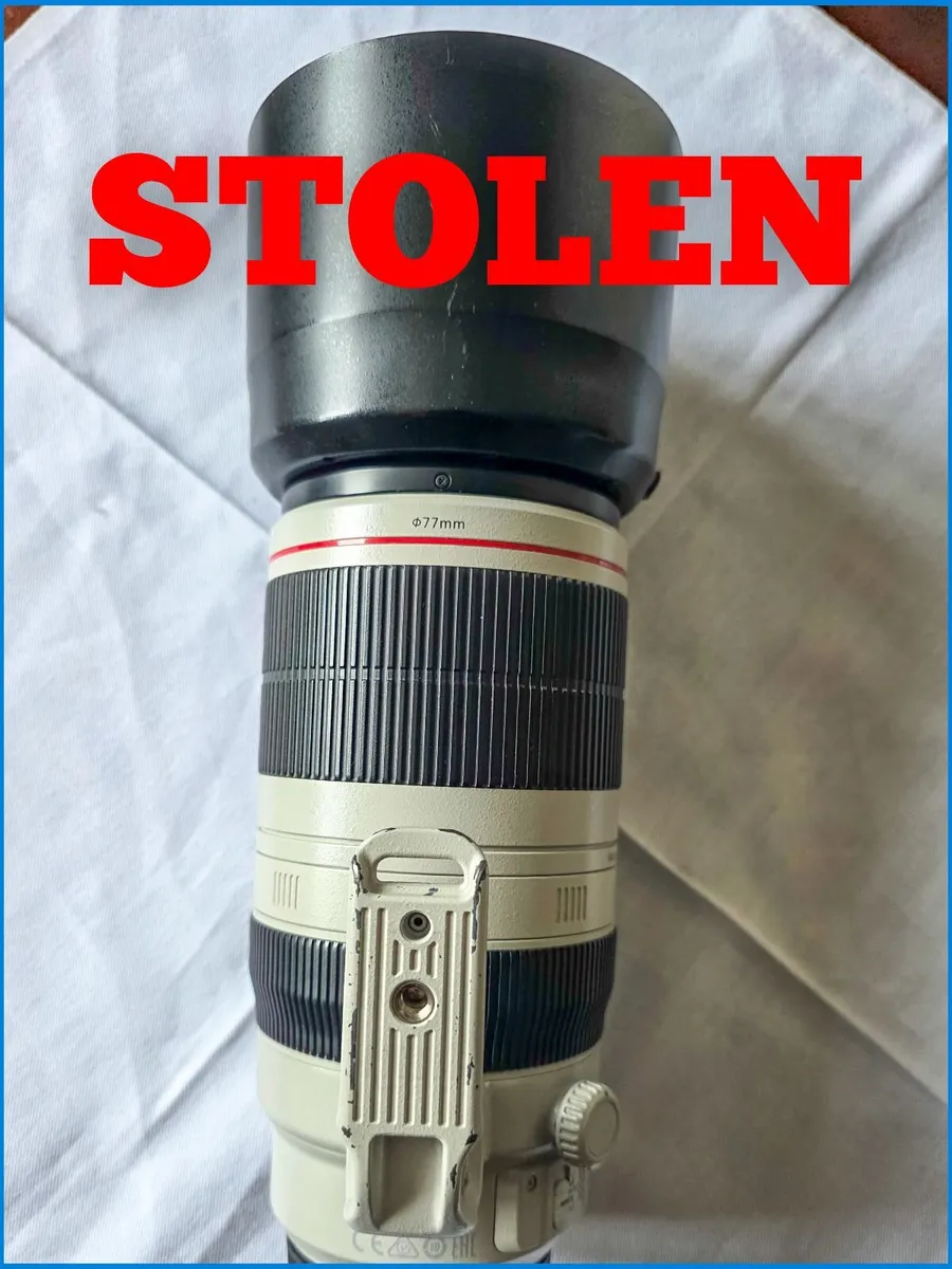 Canon 100 400 - Image 3