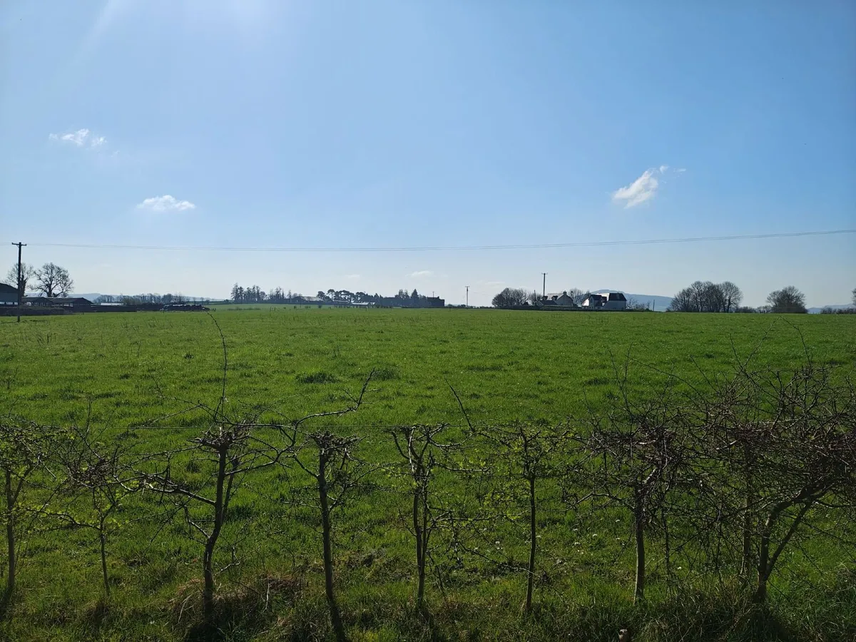 CONTRACT REARING - Image 1