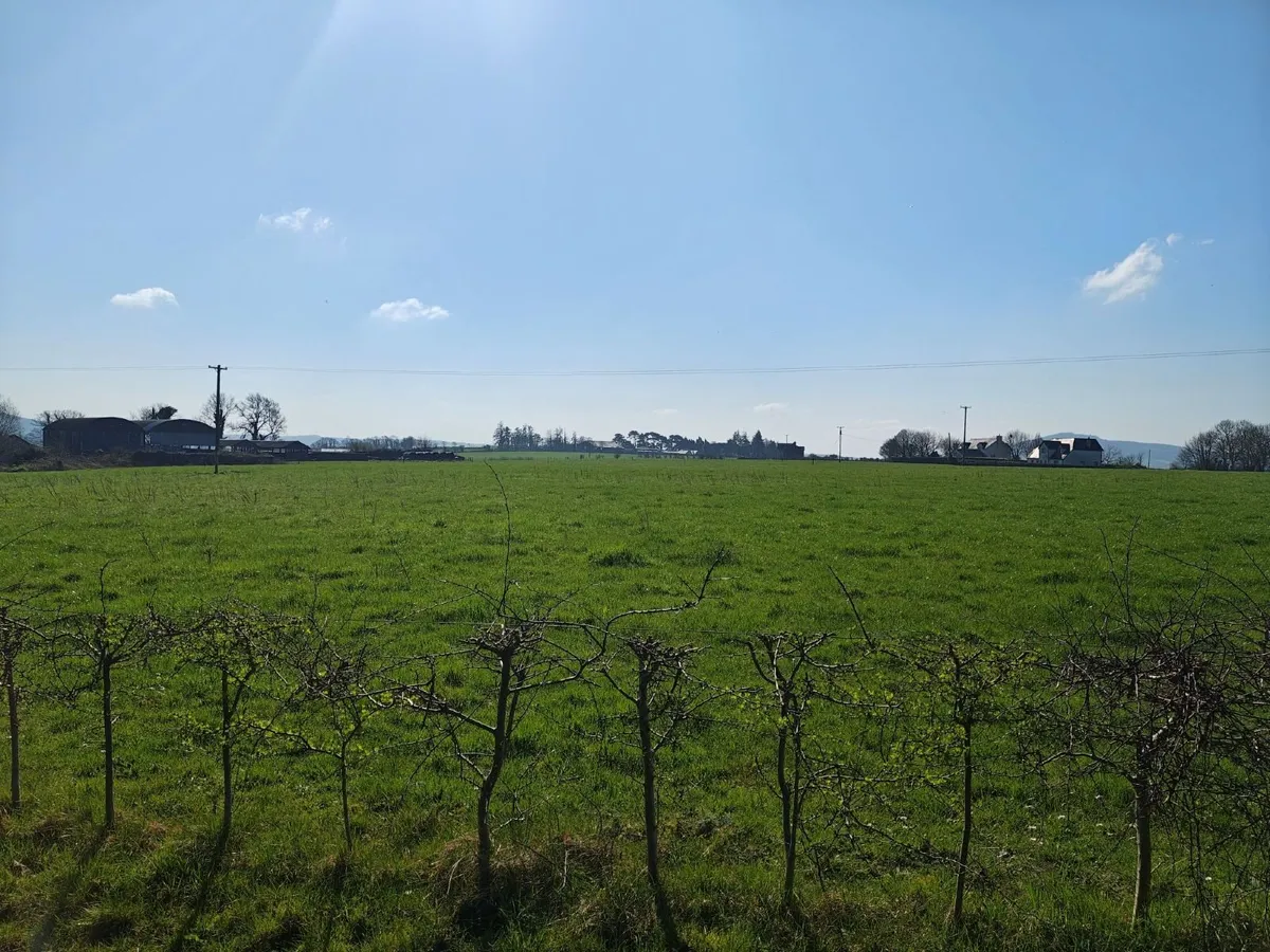 CONTRACT REARING - Image 2