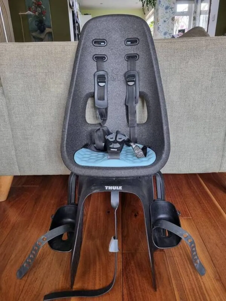 Thule Yepp Maxi Child Bike Seat - Rack Mount - Image 1