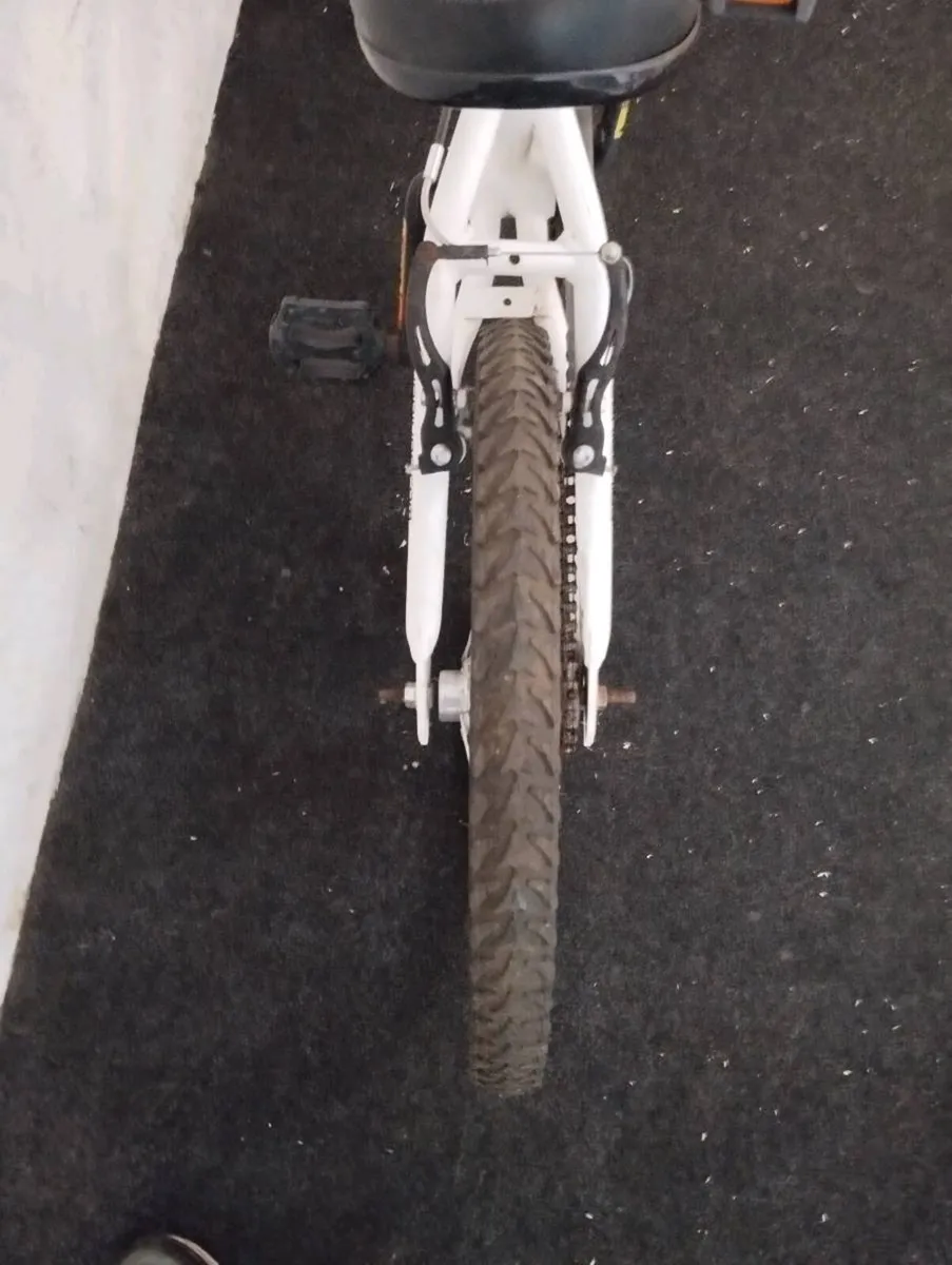 20inch BMX - Image 3