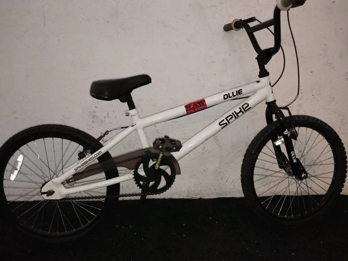 20inch BMX - Image 1