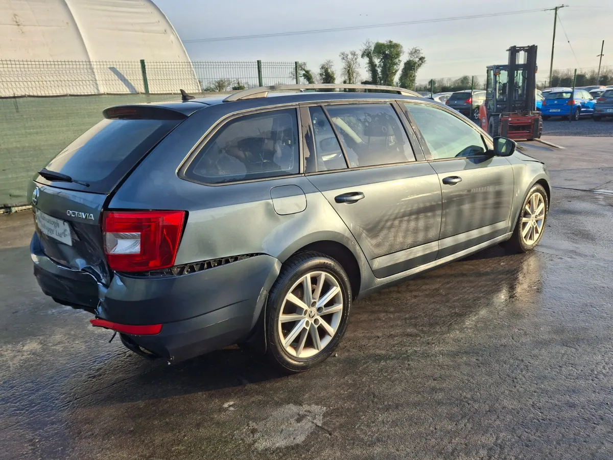 2015 Skoda Octavia  1.6 Tdi - Image 3
