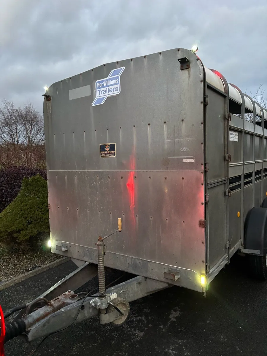 12x6 Ifor Williams cattle box - Image 2