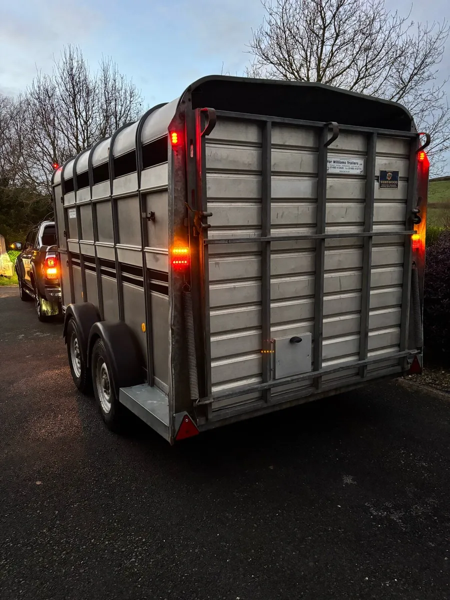 12x6 Ifor Williams cattle box - Image 3