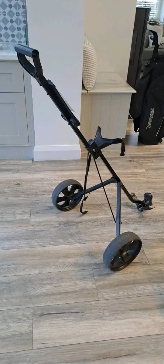 Spalding Ladies/Junior Golf Set & Trolley - Image 1