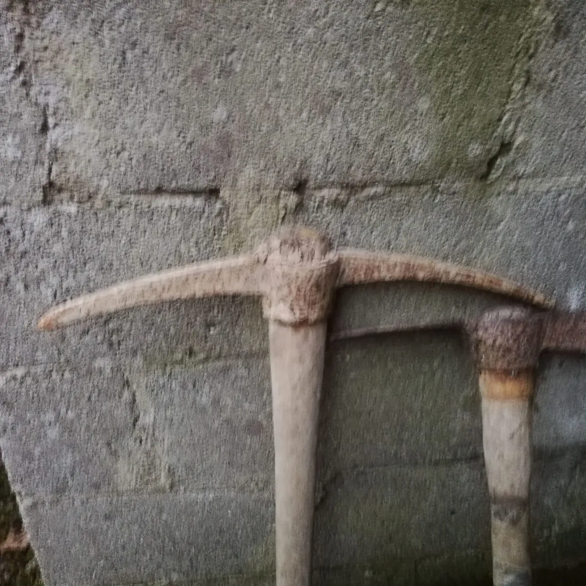 Garden tools - Image 4