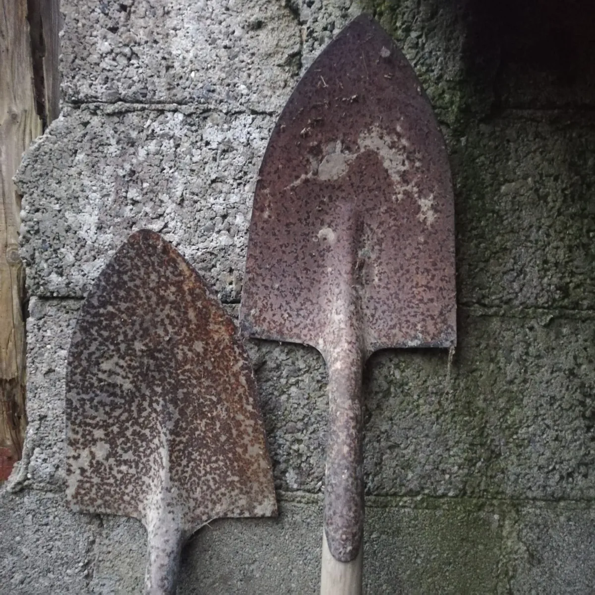 Garden tools - Image 2