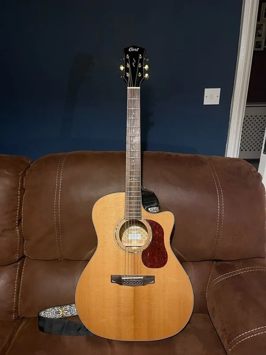 Cort Gold A6 acoustic guitar in excellent condition - Image 1