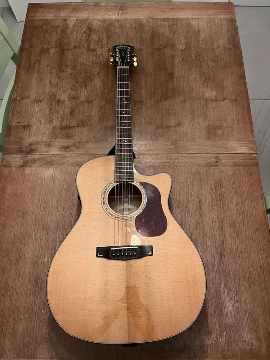 Cort Gold A6 acoustic guitar in excellent condition - Image 2