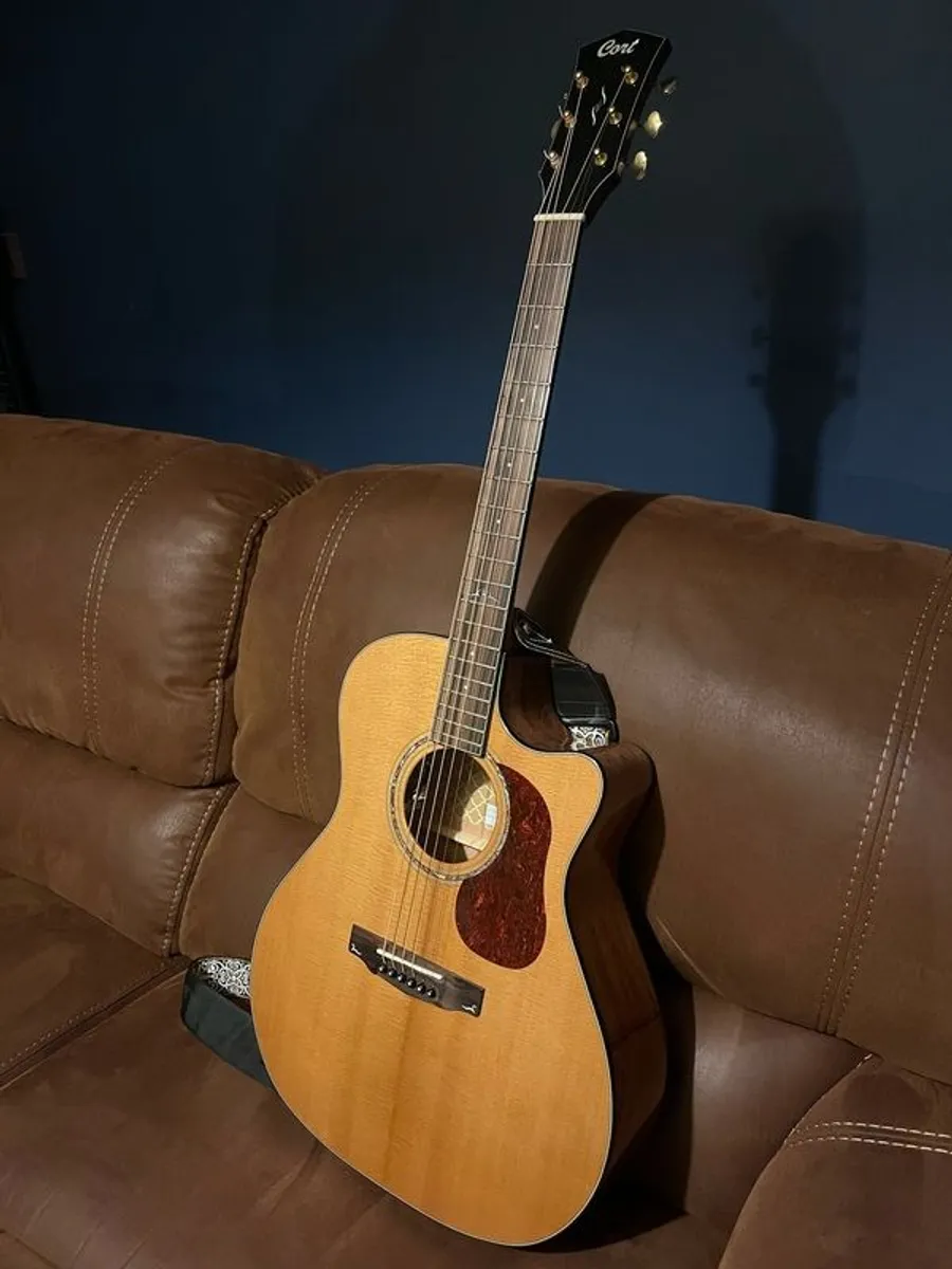 Cort Gold A6 acoustic guitar in excellent condition - Image 3