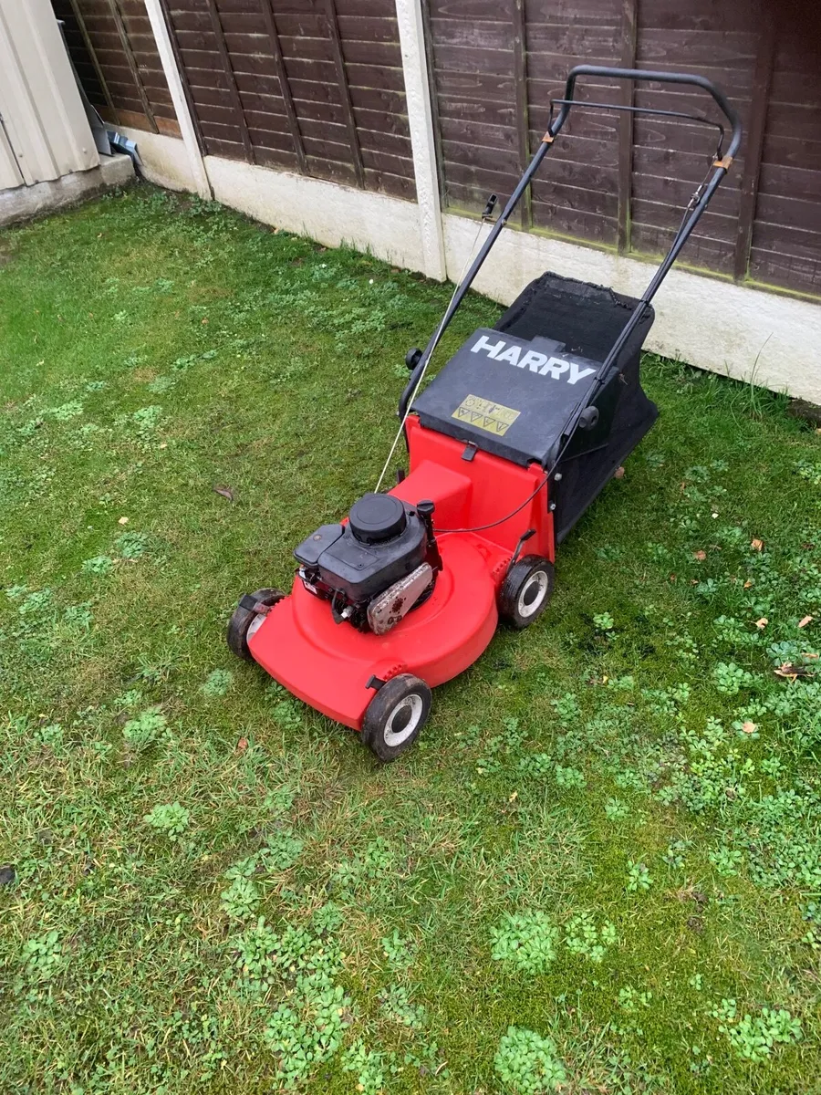 Lawnmower - Image 2