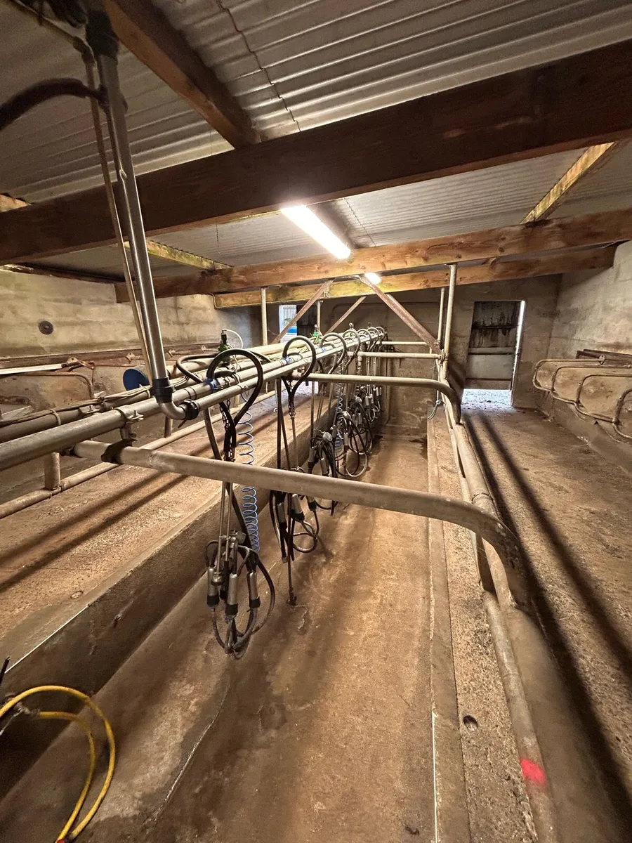 Milking parlour (8 unit) - Image 1