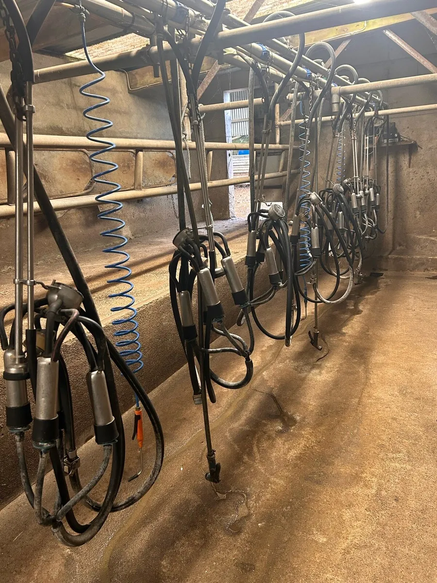 Milking parlour (8 unit) - Image 2