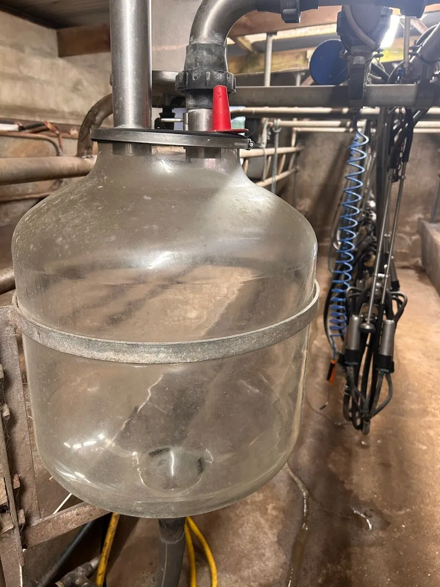 Milking parlour (8 unit) - Image 3