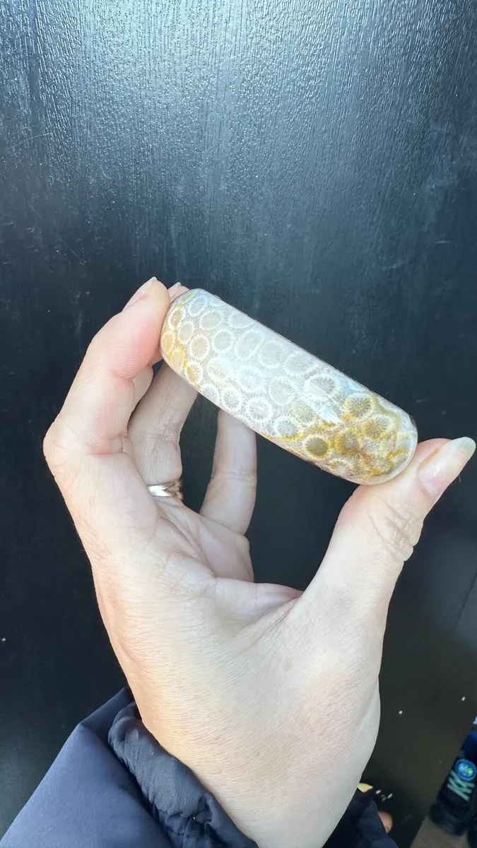 Natural fossil coral jade bangle 55mm - Image 4
