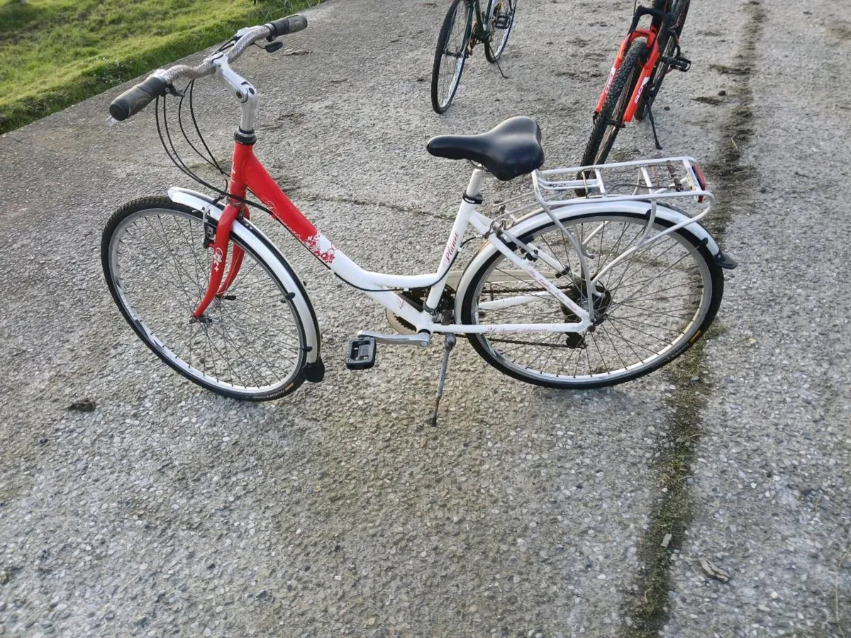 3 bikes €50 each - Image 1