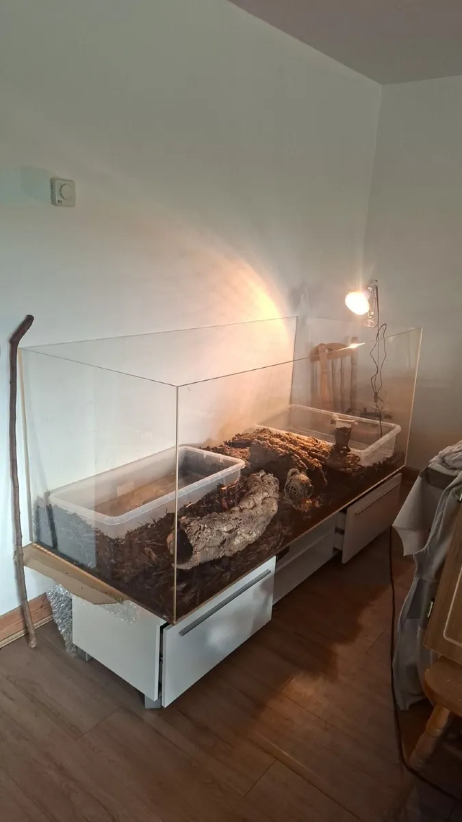 Reptile tank - Image 1