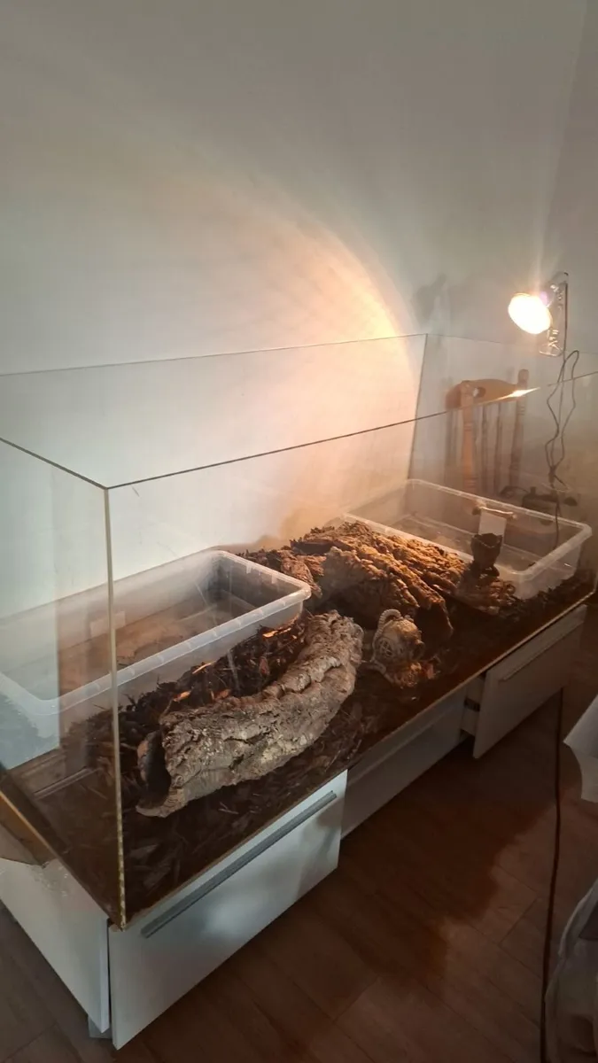 Reptile tank - Image 2
