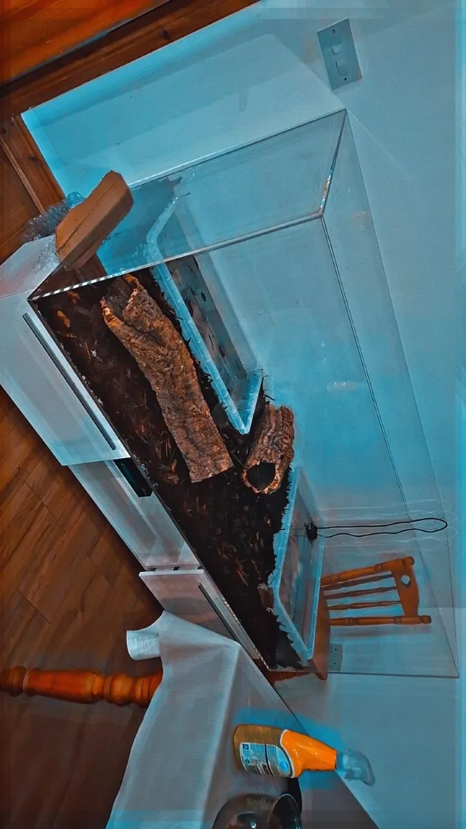 Reptile tank - Image 3
