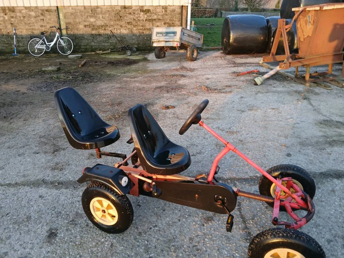 Bike and go kart €150 each - Image 1