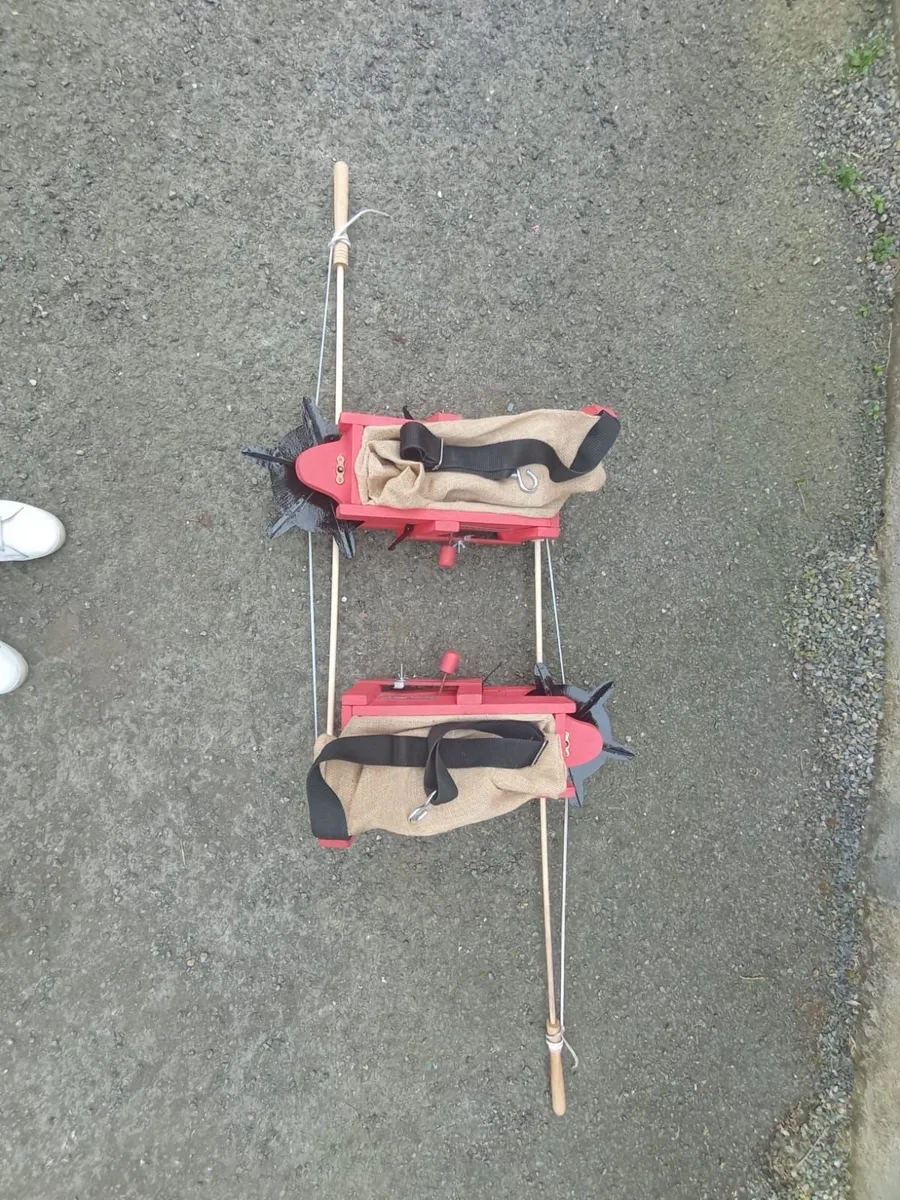 Grass seed fiddle - Image 2