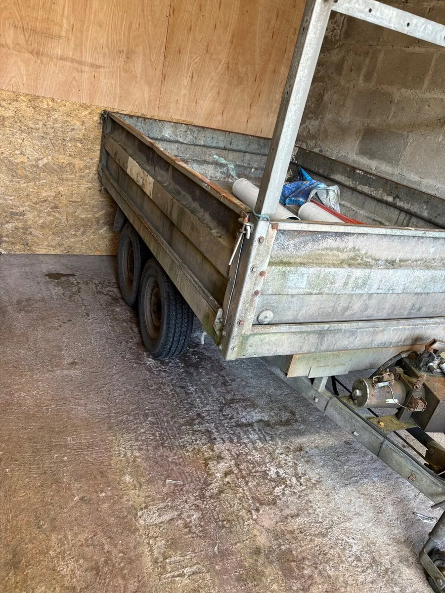 8x5 tipping van/car trailer - Image 3