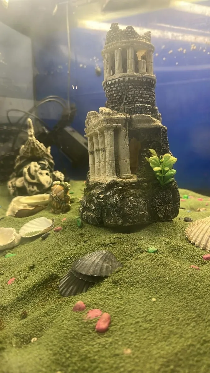 Aquarium - Image 2