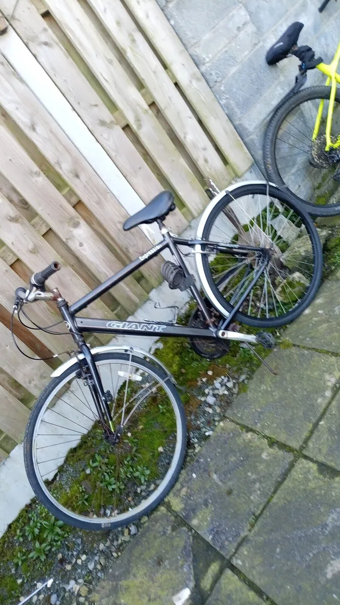 Giant Expression LX city Bike - Image 2