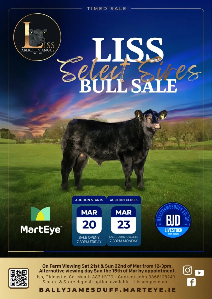 Liss Angus Bull Sale - Image 1