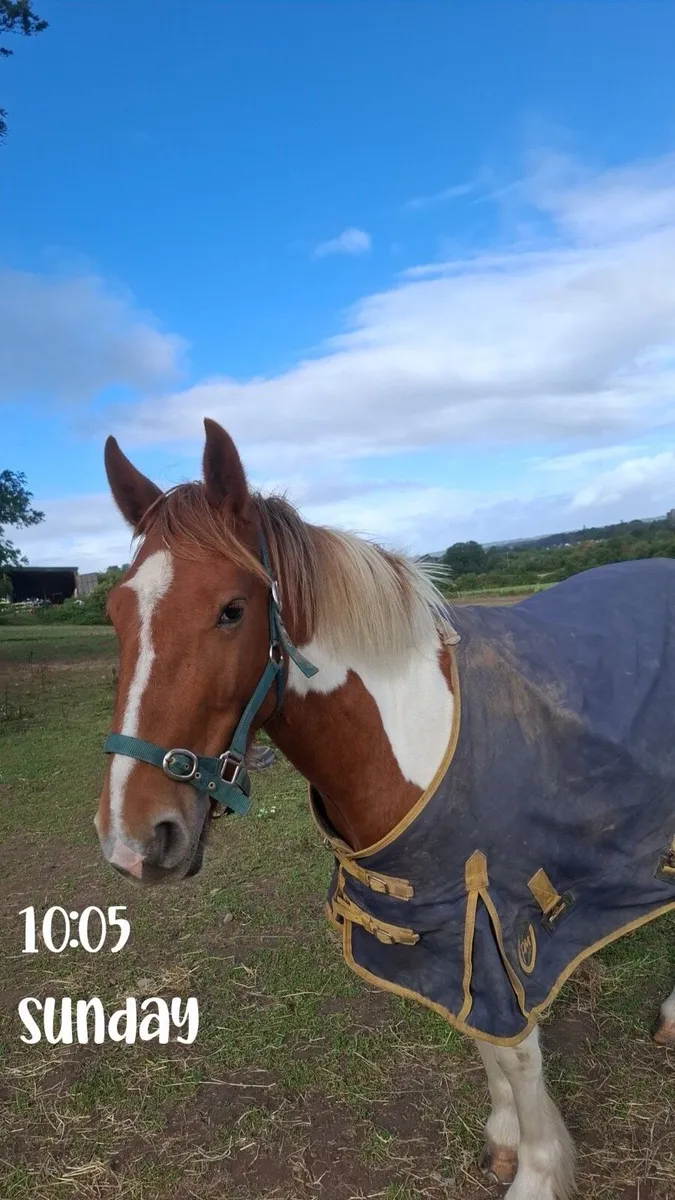 🥕HUGO🥕 - Image 3