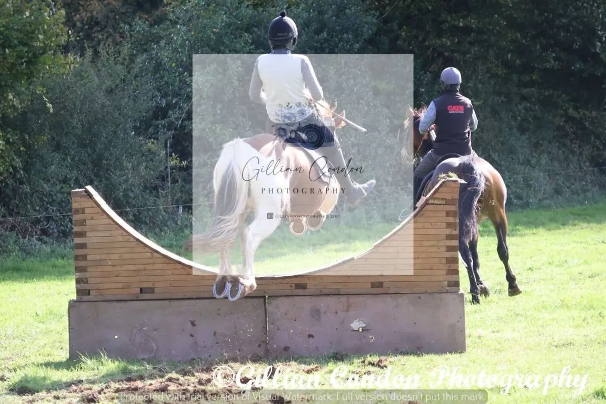 🥕HUGO🥕 - Image 4