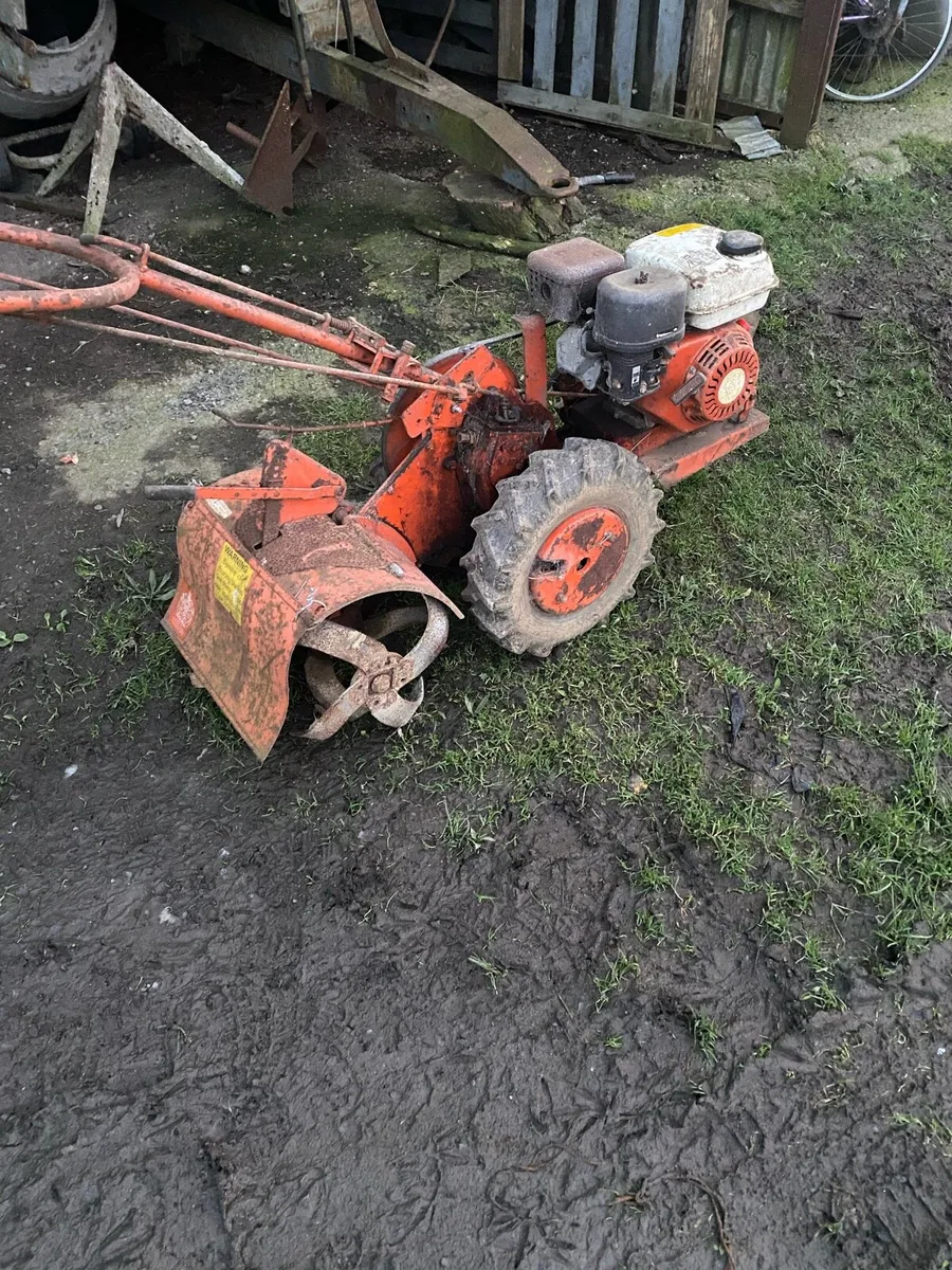 Petrol rotavator - Image 1