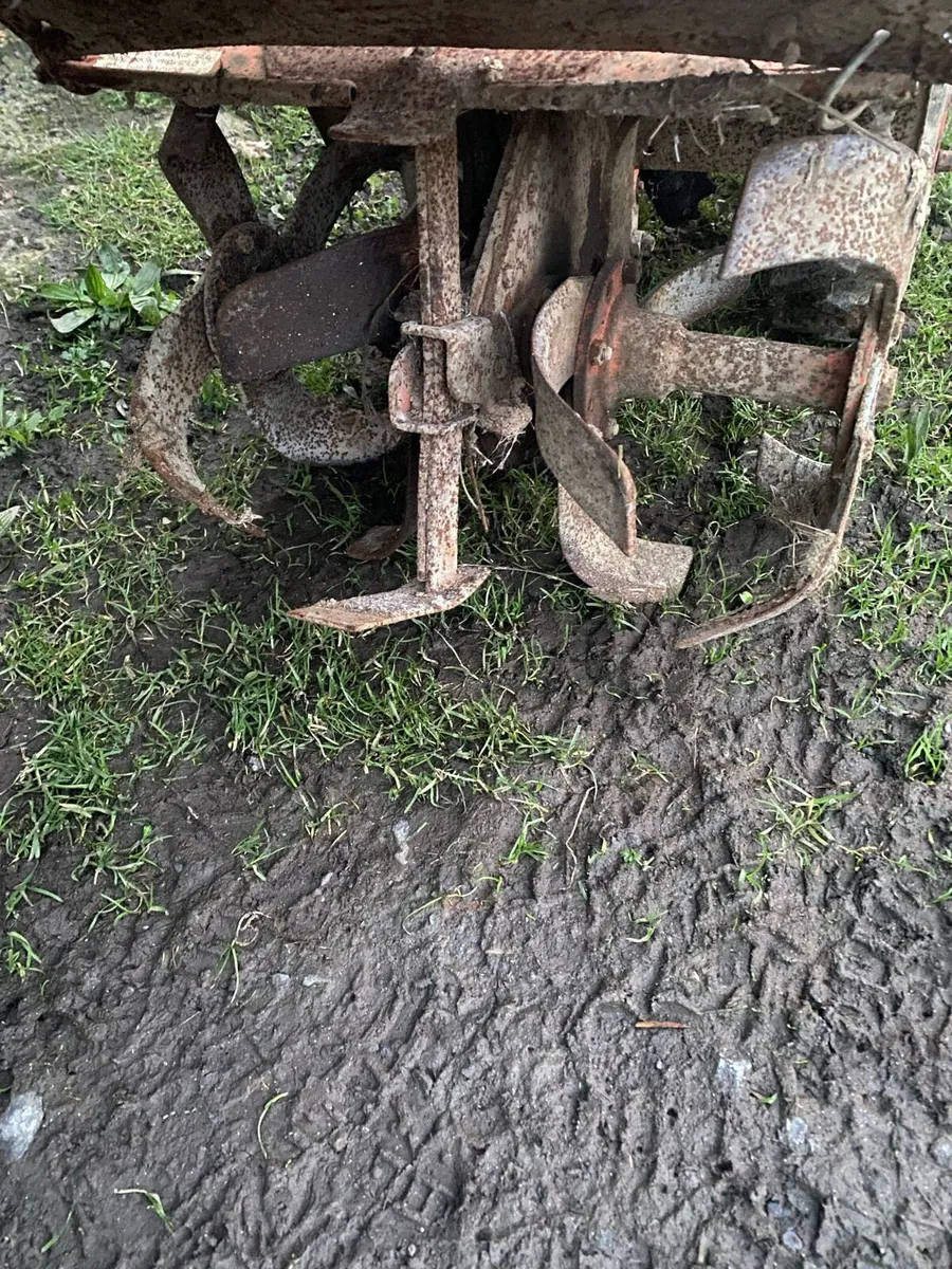 Petrol rotavator - Image 4